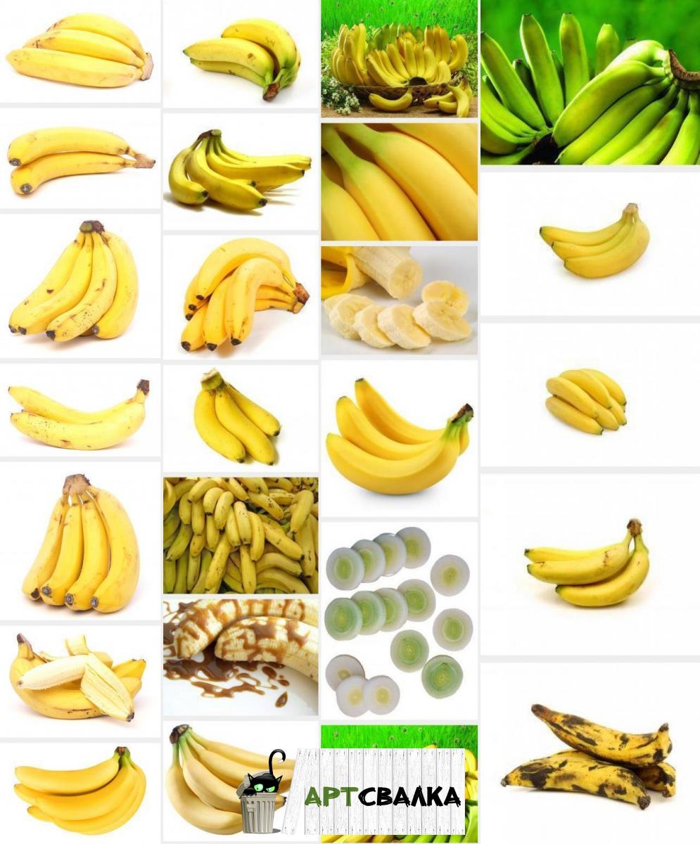 Бананы на белом фоне | Bananas on white background